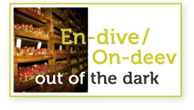 why its called endive and why its grown in the dark
