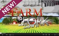 Farm to Fork with Sharon Vaknin: Endive - America's Heartland