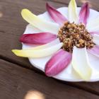 Red Quinoa Salad in Endive Boats